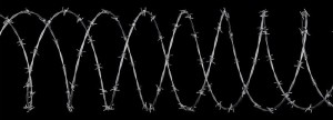 1449005-278256-barbed-wire-isolated-on-black-and-white (2)